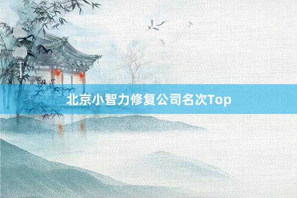 北京小智力修复公司名次Top