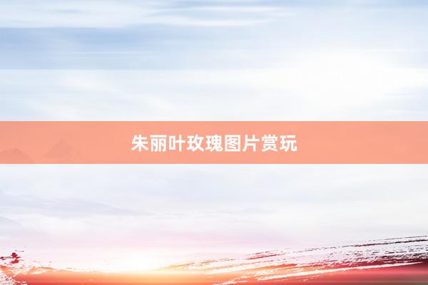 朱丽叶玫瑰图片赏玩