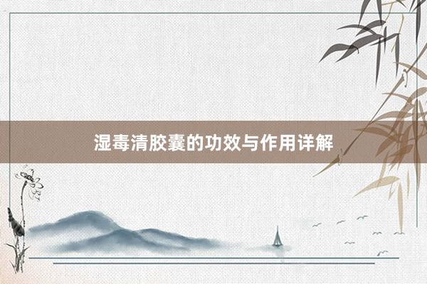 湿毒清胶囊的功效与作用详解